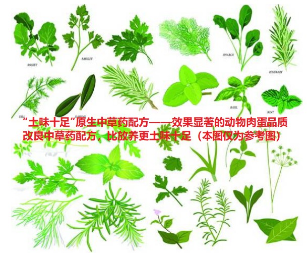 “土味十足”原生中草藥配方——效果顯著的動物肉蛋品質改良中草藥配方，比放養更土味十足